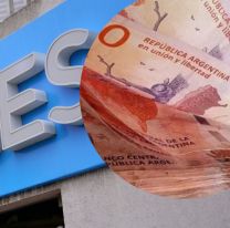  Anses: cuánto dinero se puede pedir para los créditos de Navidad