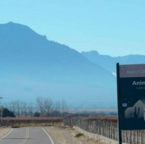 Angastaco, San Carlos, Animaná y Guachipas llegan al Mercado Artesanal