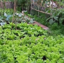 Una salteña tiene una "Verdulería Natural" en el fondo de la casa