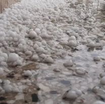 Se reporta caída de granizo en la zona sur de la ciudad de Salta 