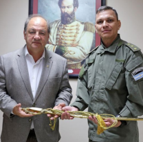 Proponen incluir una r&eacute;plica del sable de G&uuml;emes en los homenajes del 17 de junio