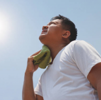 Ola de calor extremo en Salta: la temperatura llegaría a los 40º