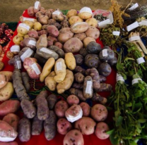 Pequeños productores de Salta venderán sus productos en el Parque de la Familia