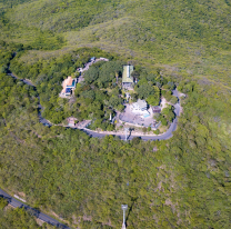 Teleférico San Bernardo sembrará 2000 ejemplares de cebil