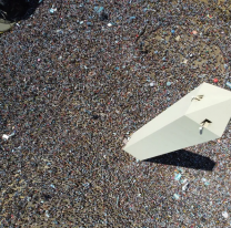 La movilizaci&oacute;n m&aacute;s grande de la historia argentina para festejar la Copa del Mundo