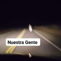 Pánico: ¡Apareció "La llorona" otra vez en Salta!