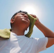 Rigen alertas rojas por calor extremo para sectores Salta y otras tres provincias