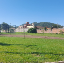 Se plantaron 60 nuevos árboles en espacios verdes de Salta