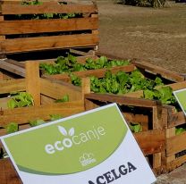 Vuelve el Ecocanje a los Parques de Salta