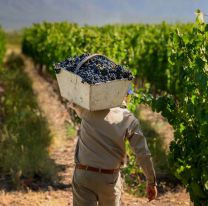 Hay fiesta de la Vendimia en Cachi