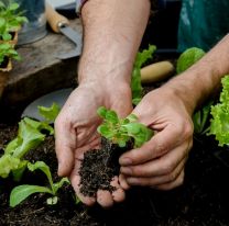La Caldera entregará kits de semillas