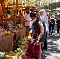 Emprendedores pueden acceder a créditos de hasta $800.000