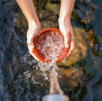 31 De Marzo: Día Nacional del Agua