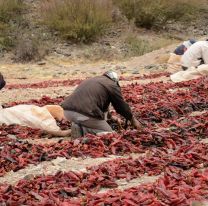 Payogasta y Cachi capacitan a pequeños productores Agrícolas