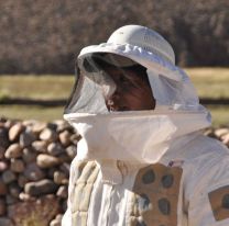 La miel de altura producida por campesinos de la Quebrada del Toro es reconocida a nivel internacional