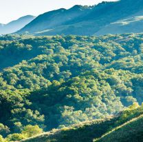 El paraíso que se esconde en Salta y muy pocos conocen