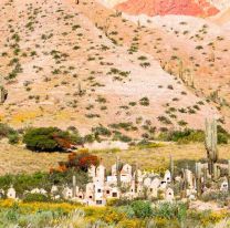 Agenda cultural: te contamos qué hacer este fin de semana en Salta