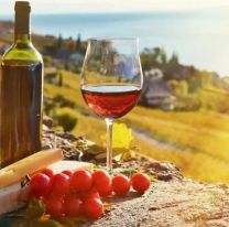 Se abrieron las inscripciones para el fondo de desarrollo del sector vitivinícolas