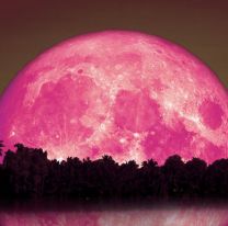 Luna de fresa: ¿A qué hora podrá verse durante este domingo en Argentina?