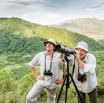 Salta lidera el ranking nacional en avistaje de aves