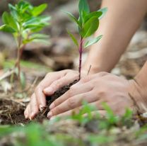 Salta celebra la Semana del Ambiente con actividades para toda la familia