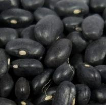 Desarrollan un poroto en Salta que adem&aacute;s de nutritivo es el preferido para cocinar