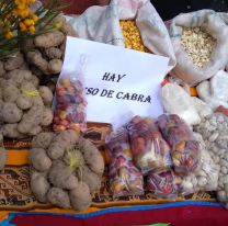 Se viene la fiesta y feria de la papa andina en El Alfarcito