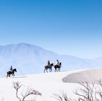 Vacaciones de Invierno: temporada récord en Salta