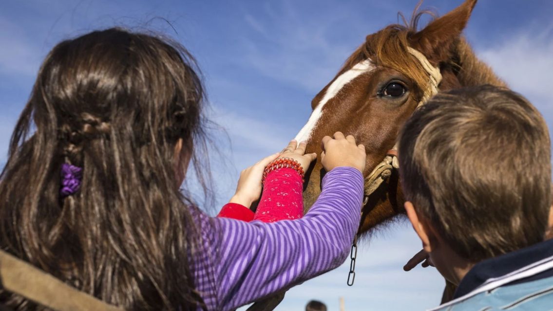 Se celebra por primera vez en la historia "El Día Nacional de la Equinoterapia"