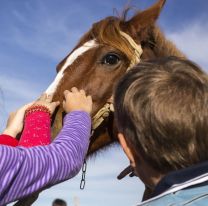 Se celebra por primera vez en la historia "El Día Nacional de la Equinoterapia"