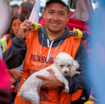 Milagro salteño: piden no peregrinar con perros para evitar su abandono