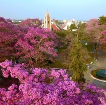 Tiempo en Salta: Septiembre arranca con mucho calor en "La Linda"
