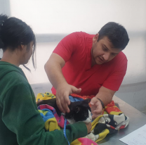 El Hospital Municipal de Mascotas cumple 1 año más desde su creación 