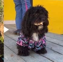 Morita debutó como modelo en Salta y se robó todos los aplausos