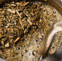 Yuyitos para el mate: cuáles son los mejores para la salud