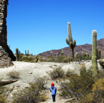 Pueblito de Salta recibió un premio a nivel Internacional por su conservación a través del tiempo