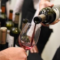 Fevinar 2023: La gran feria de vinos argentinos regresa a Salta