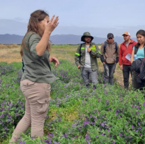 El INTA abrió sus tranqueras para que disfruten los chicos