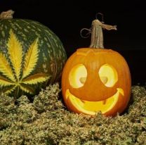 Se viene el Blackhalloweed en Salta: la imperdible fiesta cannabica