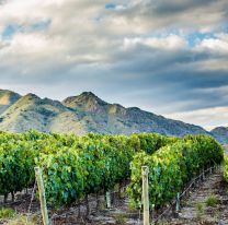 Hoy es el cumpleaños de Cafayate, la tierra del sol y el buen vino
