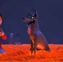 27 de octubre: el d&iacute;a en que las mascotas vuelven del m&aacute;s all&aacute;