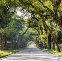Atención salteños: se espera un fin de semana con mucho calor en la ciudad