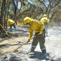 Trabajarán en la restauración del ecosistema cafayateño tras los incendios