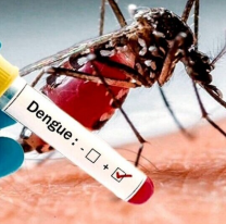 La provincia comprará 300 mil vacunas contra el Dengue 