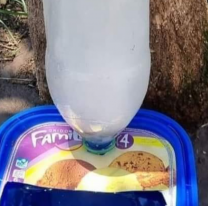 Salte&ntilde;os inventaron un sistema para ayudar a los callejeritos en estos tiempos de extremo calor 