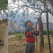 Salteñito guardián de los árboles, deja su huella ambiental en Cafayate