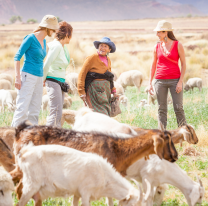 Salta fue uno de los destinos turísticos más elegidos este finde largo