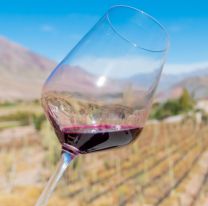 &iexcl;Las mejores etiquetas de vinos de altura en una degustaci&oacute;n gratuita este mi&eacute;rcoles!