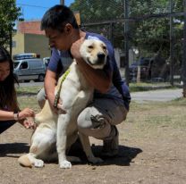 Comenzarán el servicio de castración y vacunación gratuitos en Salta