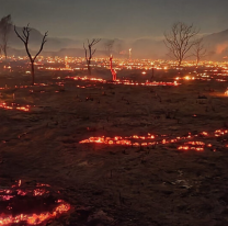 Ponen en marcha un Plan de Restauración Ecológica para la recuperación de la flora y fauna de Cafayate